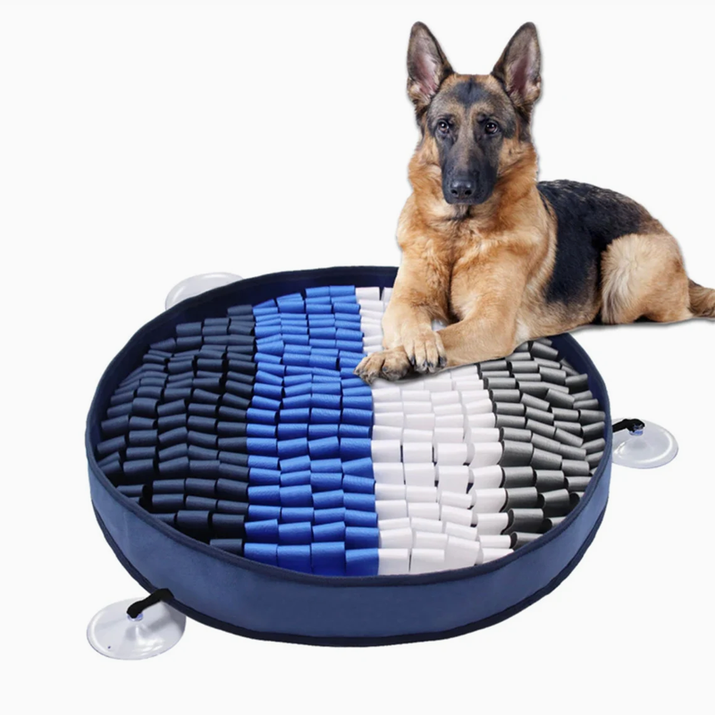 Interactive Snuffle Mat for Pets