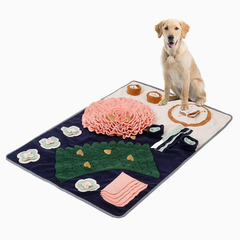 Interactive Large Snuffle Mat for Pets