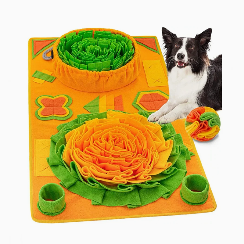 Interactive Large Snuffle Mat for Pets