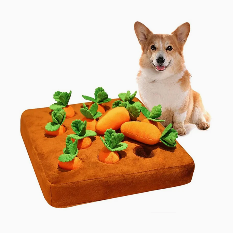 Interactive Snuffle Carrot Mat for Pets