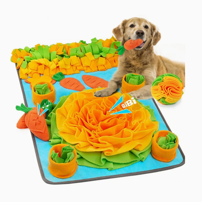 Interactive Large Snuffle Mat for Pets