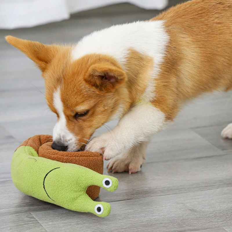 Interactive Snuffle Snail Dog Toy