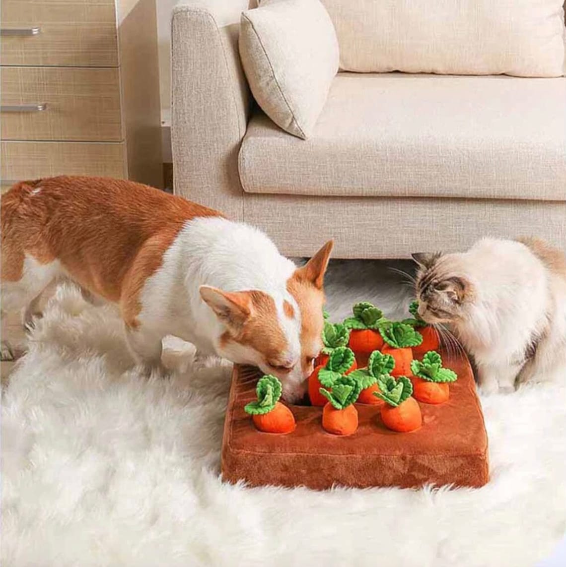 Interactive Snuffle Carrot Mat for Pets