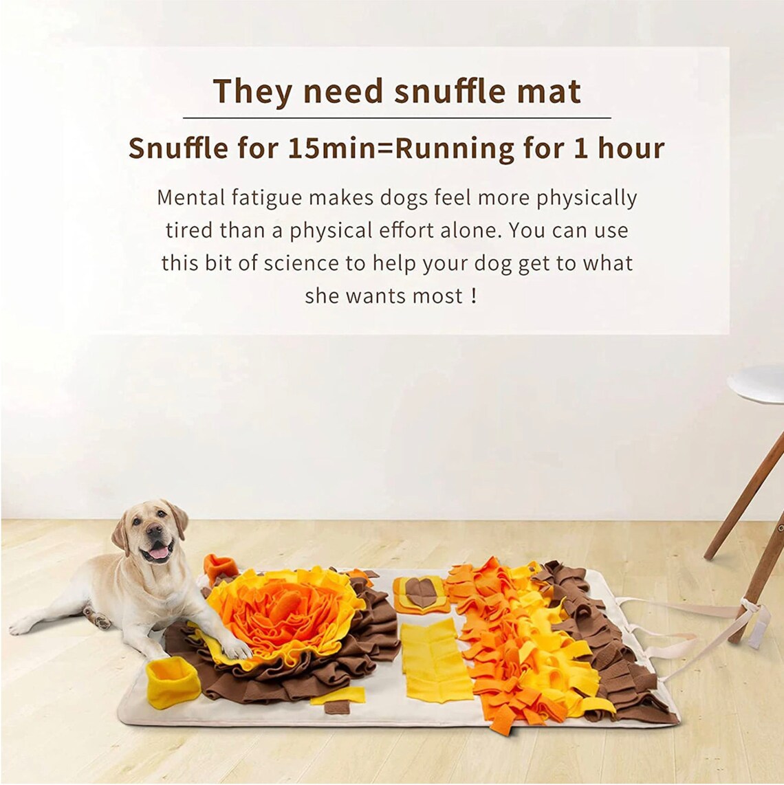 Interactive Large Snuffle Mat for Pets