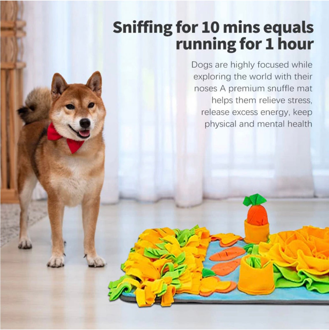 Interactive Large Snuffle Mat for Pets