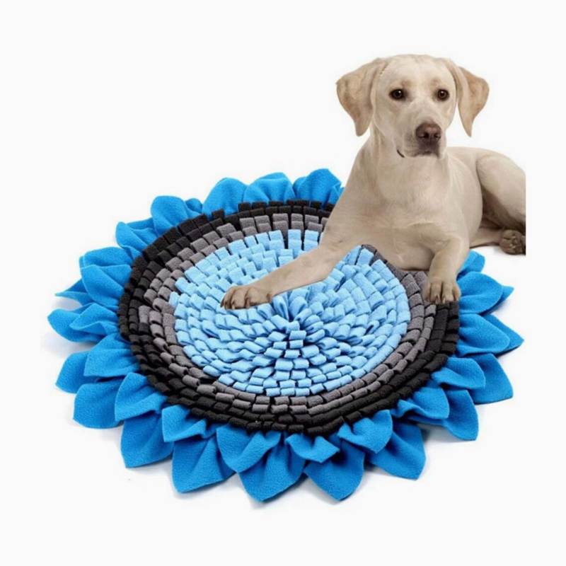 Interactive Snuffle Mat for Pets