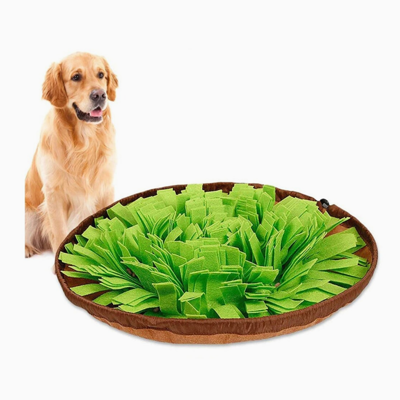 Interactive Snuffle Mat for Pets